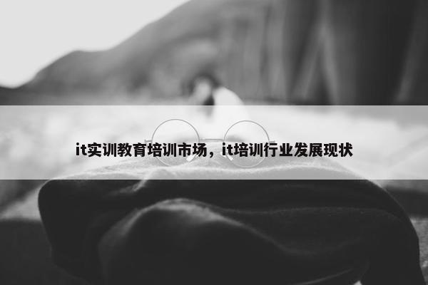 it实训教育培训市场，it培训行业发展现状