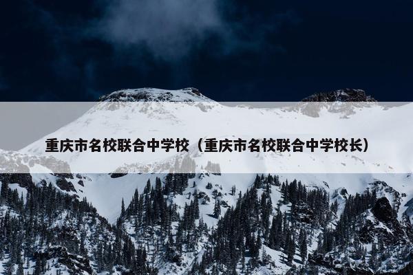 重庆市名校联合中学校（重庆市名校联合中学校长）