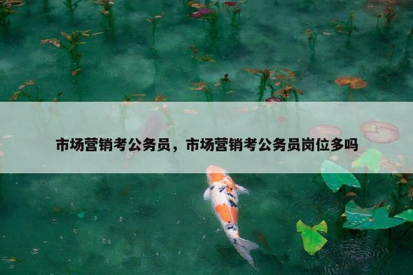 市场营销考公务员，市场营销考公务员岗位多吗