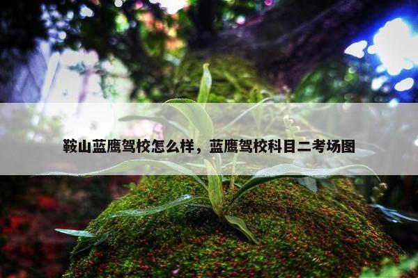 鞍山蓝鹰驾校怎么样，蓝鹰驾校科目二考场图