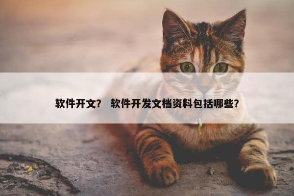 软件开文？ 软件开发文档资料包括哪些？