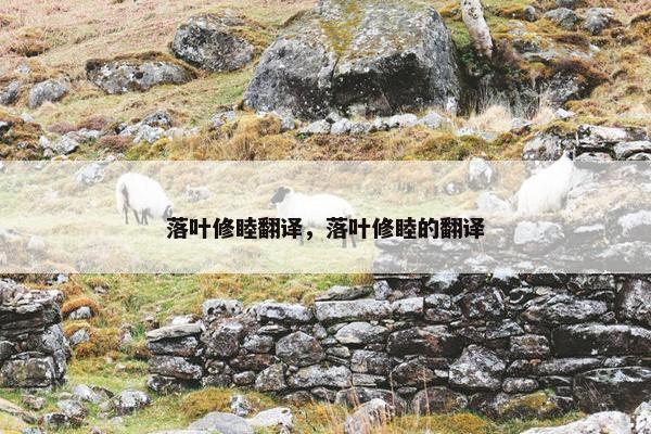 落叶修睦翻译，落叶修睦的翻译