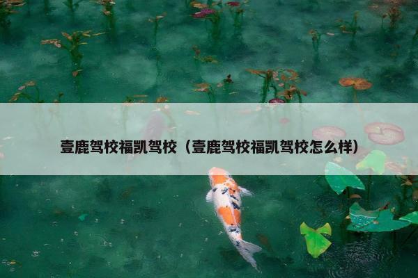 壹鹿驾校福凯驾校(壹鹿驾校福凯驾校怎么样) 壹鹿驾校福凯驾校(壹鹿驾校福凯驾校怎么样)