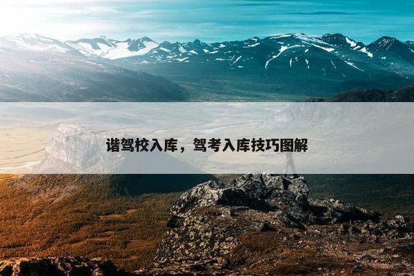 谐驾校入库，驾考入库技巧图解