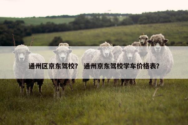 通州区京东驾校？ 通州京东驾校学车价格表？
