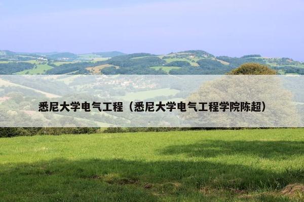 悉尼大学电气工程（悉尼大学电气工程学院陈超）