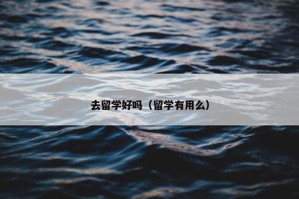 去留学好吗（留学有用么）